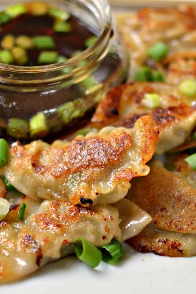 Pork Dumplings (With Two Delicious Cooking Options)