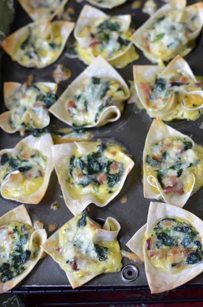 Bacon Spinach Swiss Egg Wontons | Small Town Woman