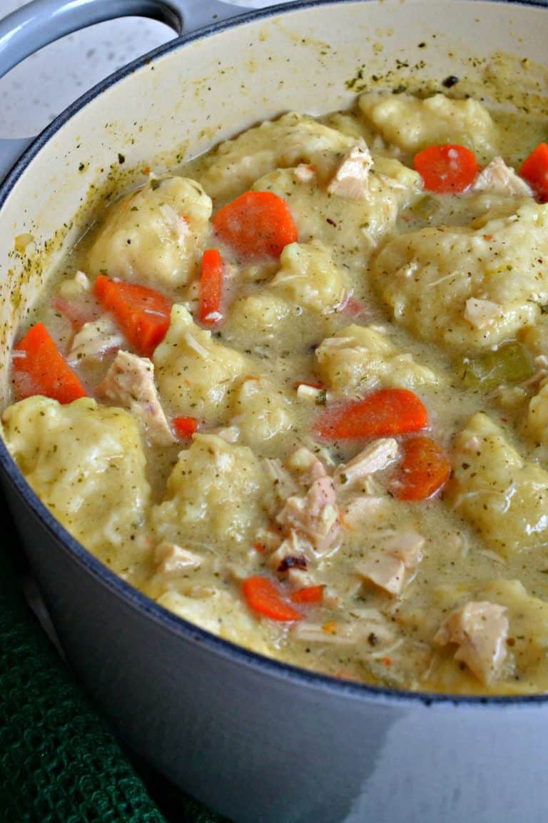 Chicken And Dumpling Soup Small Town Woman   Chicken Dumpling Soups DSC 1983 768x1153 