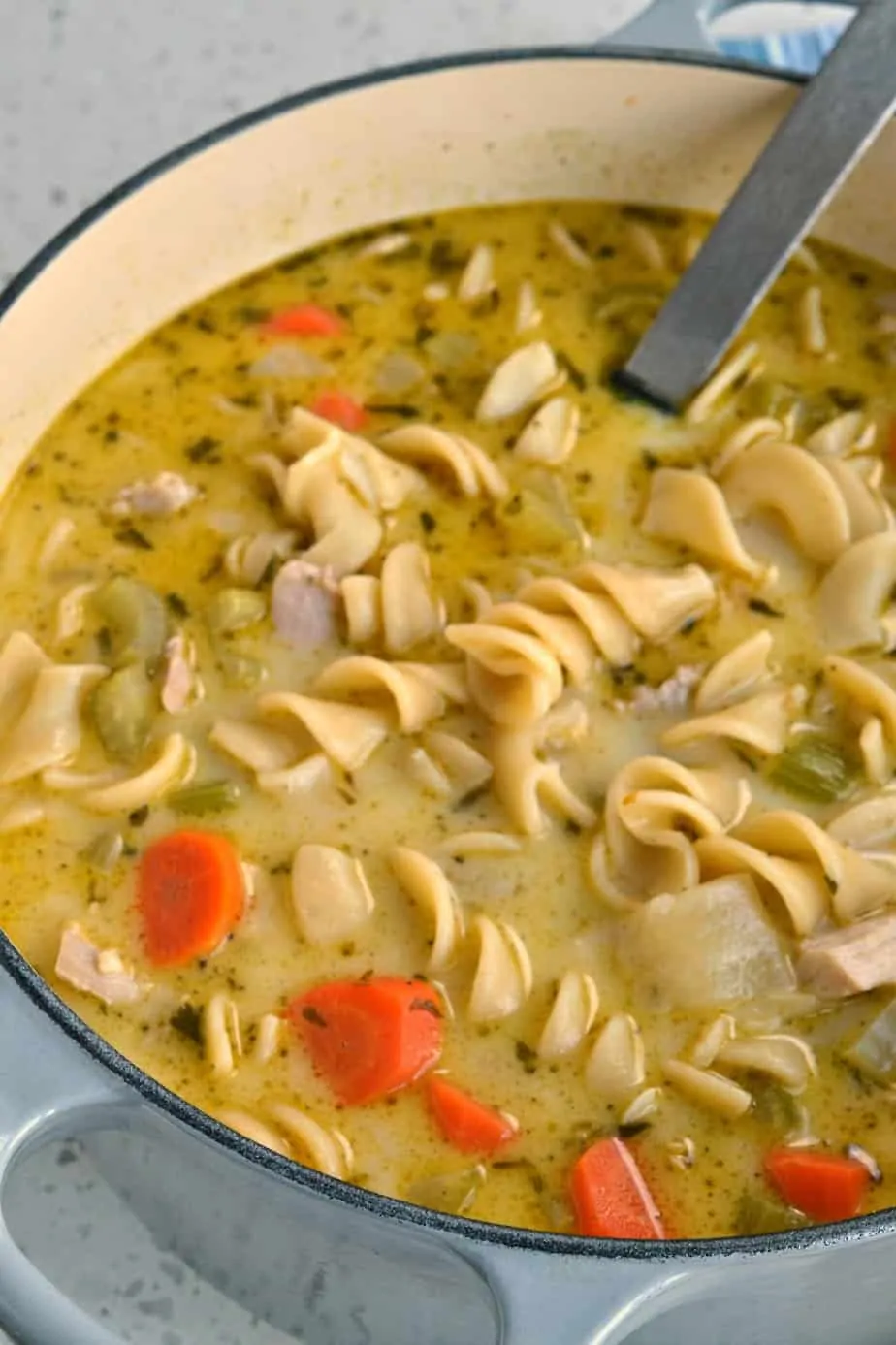 Easy Chicken Noodle Soup - Kim's Cravings