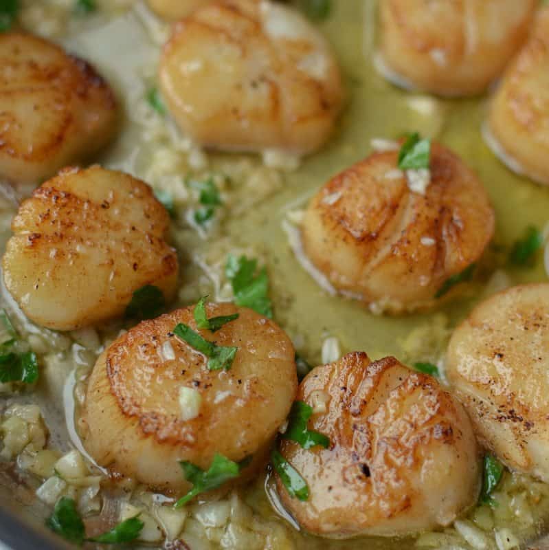 Seared Garlic Lemon Butter Scallops | Small Town Woman