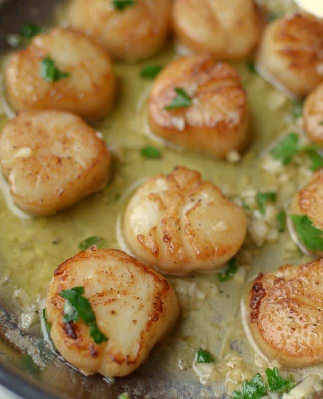 Seared Garlic Lemon Butter Scallops | Small Town Woman