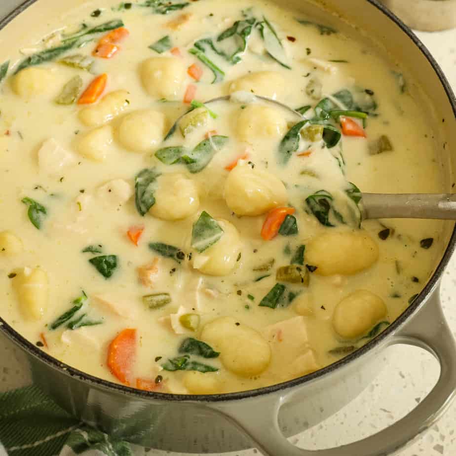 chicken-gnocchi-soup-janine-s-recipes