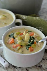 Homemade Chicken Gnocchi Soup | Small Town Woman