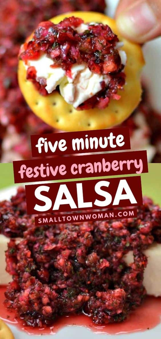 Cranberry Salsa A Five Minute Gorgeous Holiday Appetizer