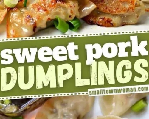 Sweet Pork Dumplings