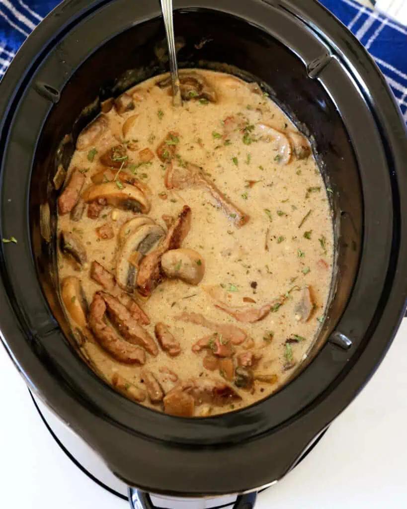 Beef stroganoff without noodles in a crock pot. 