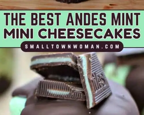 Andes Mint Mini Cheesecakes