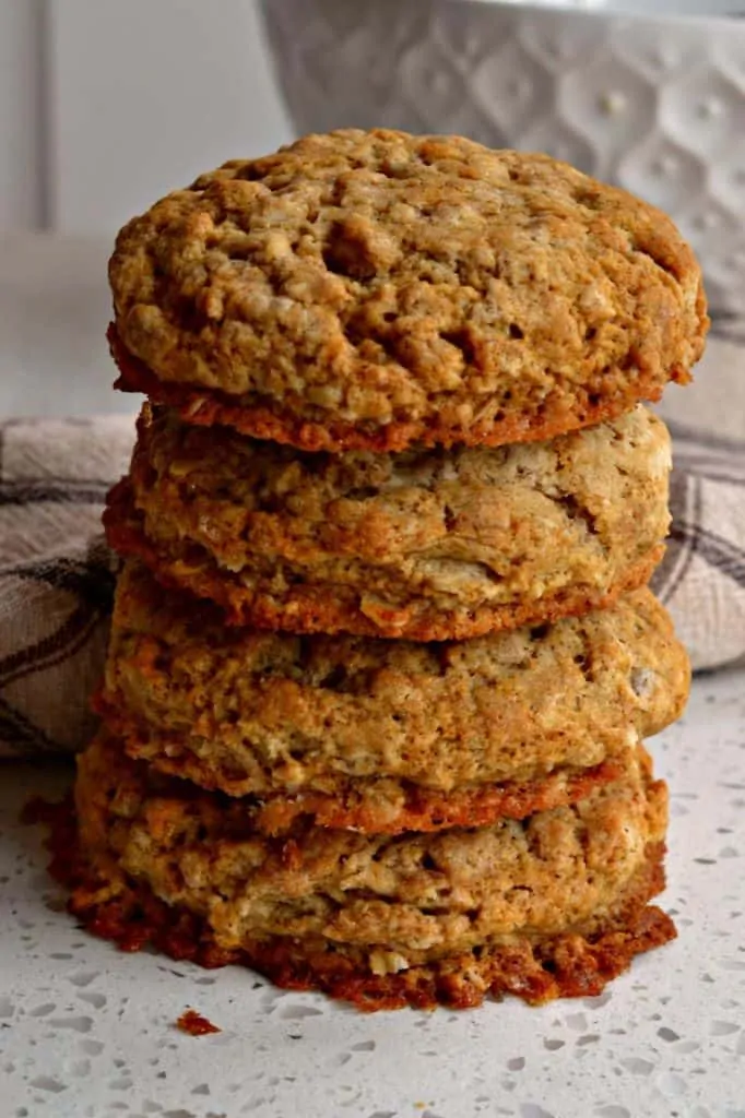 Oatmeal Biscuits - Small Town Woman