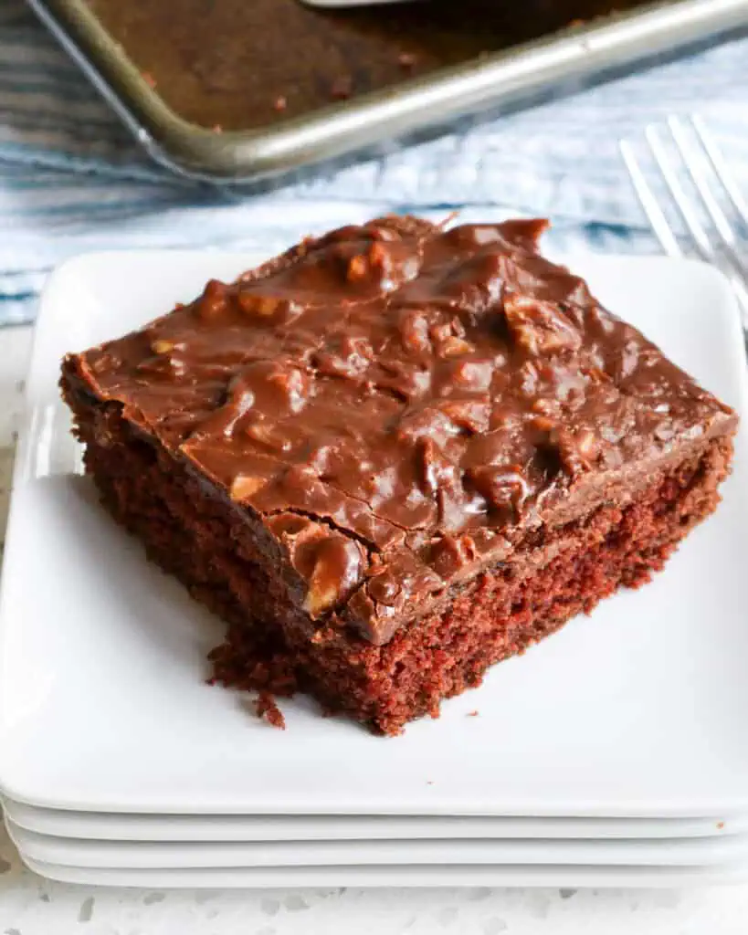 An overhead view of Texas sheet cake on a single serving plate .