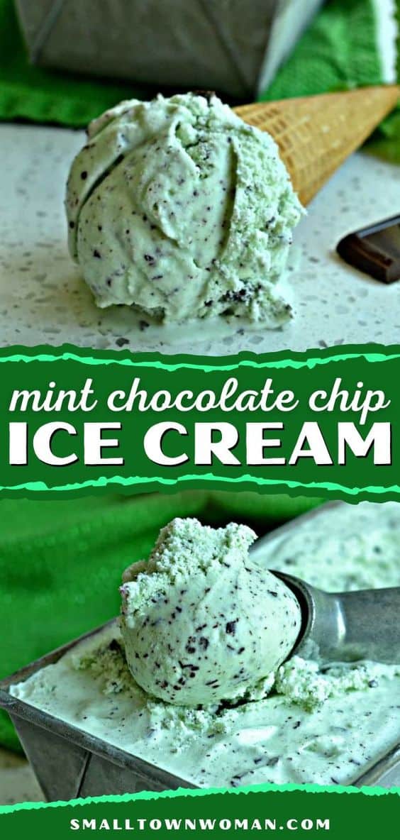 Homemade Mint Chocolate Chip Ice Cream | Small Town Woman