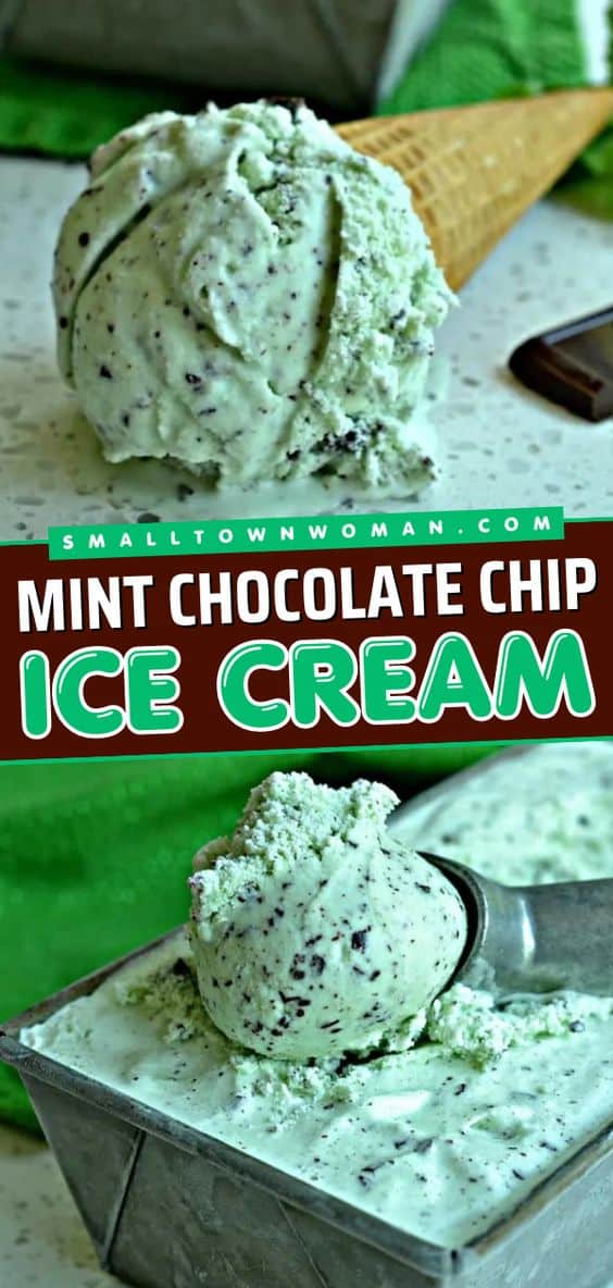 Homemade Mint Chocolate Chip Ice Cream