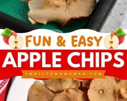 Easy Apple Crisp Recipe - Small Town Woman