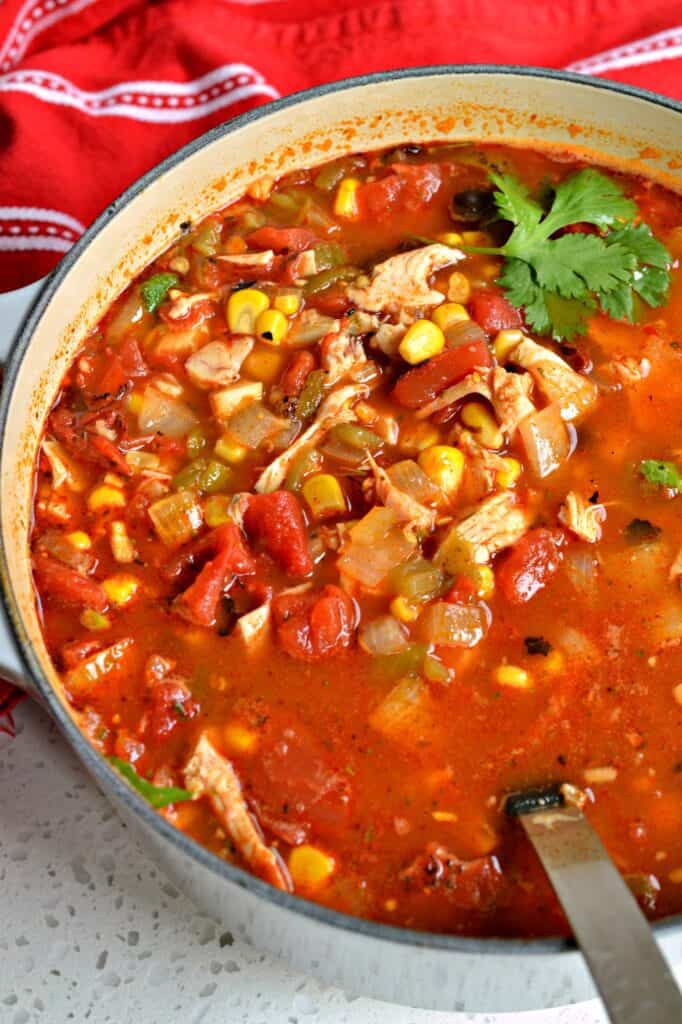 Easy Chicken Taco Soup | Small Town Woman