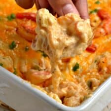 shrimp dip recipe