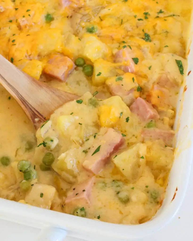 A 9x13-inch casserole dish full of cheesy ham and potato casserole. 