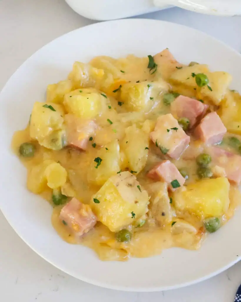 A close up view of cheesy ham and potato casserole on a single serving plate. 