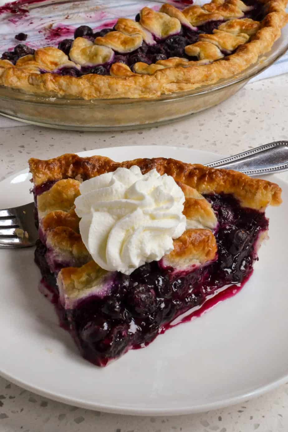 Homemade Blueberry Pie | Small Town Woman
