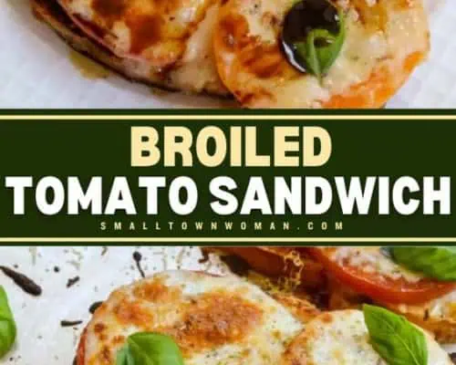 Broiled Tomato Sandwich