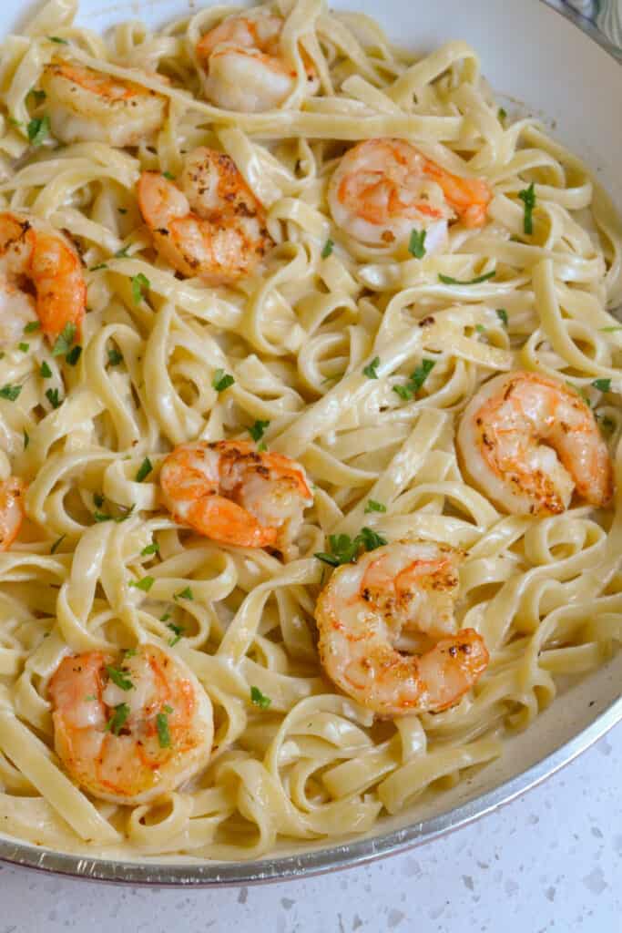 Shrimp Alfredo Recipe (Easy and Elegant) | Small Town Woman