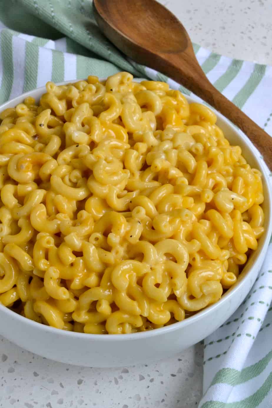 Instant Pot Macaroni and Cheese (Quick and Easy) | Small Town Woman