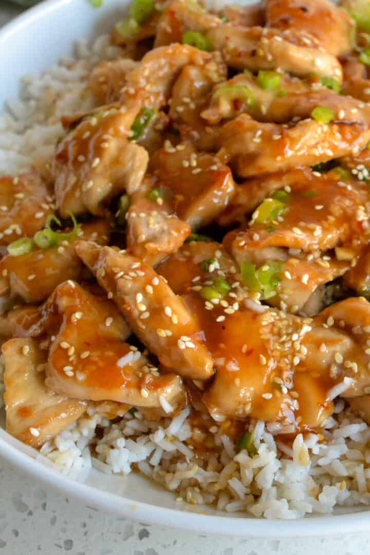 Easy Honey Garlic Chicken | Small Town Woman