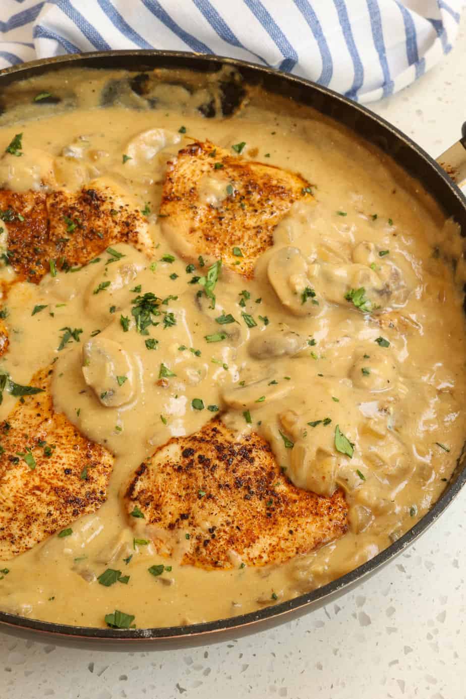 Chicken Stroganoff - Small Town Woman