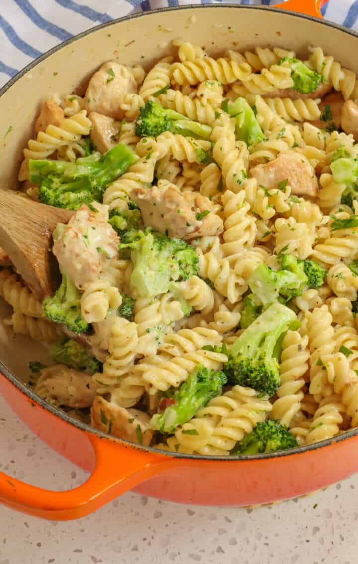 Chicken Broccoli Alfredo Recipe | Small Town Woman