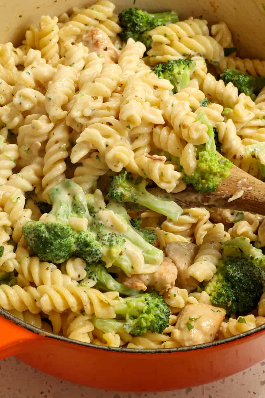 Chicken Broccoli Alfredo Recipe | Small Town Woman