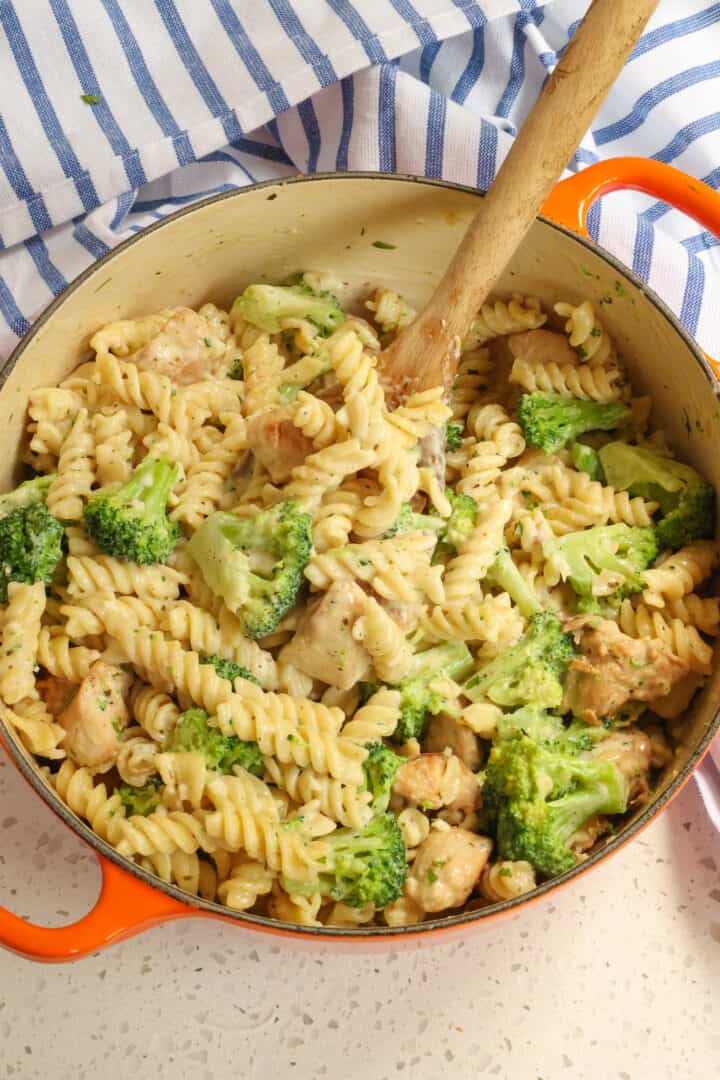 Chicken Broccoli Alfredo Recipe | Small Town Woman