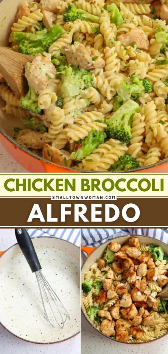 Chicken Broccoli Alfredo Recipe Small Town Woman