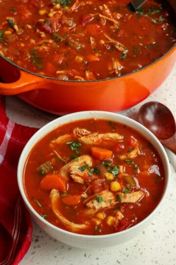 Mexican Chicken Soup Recipe | Small Town Woman