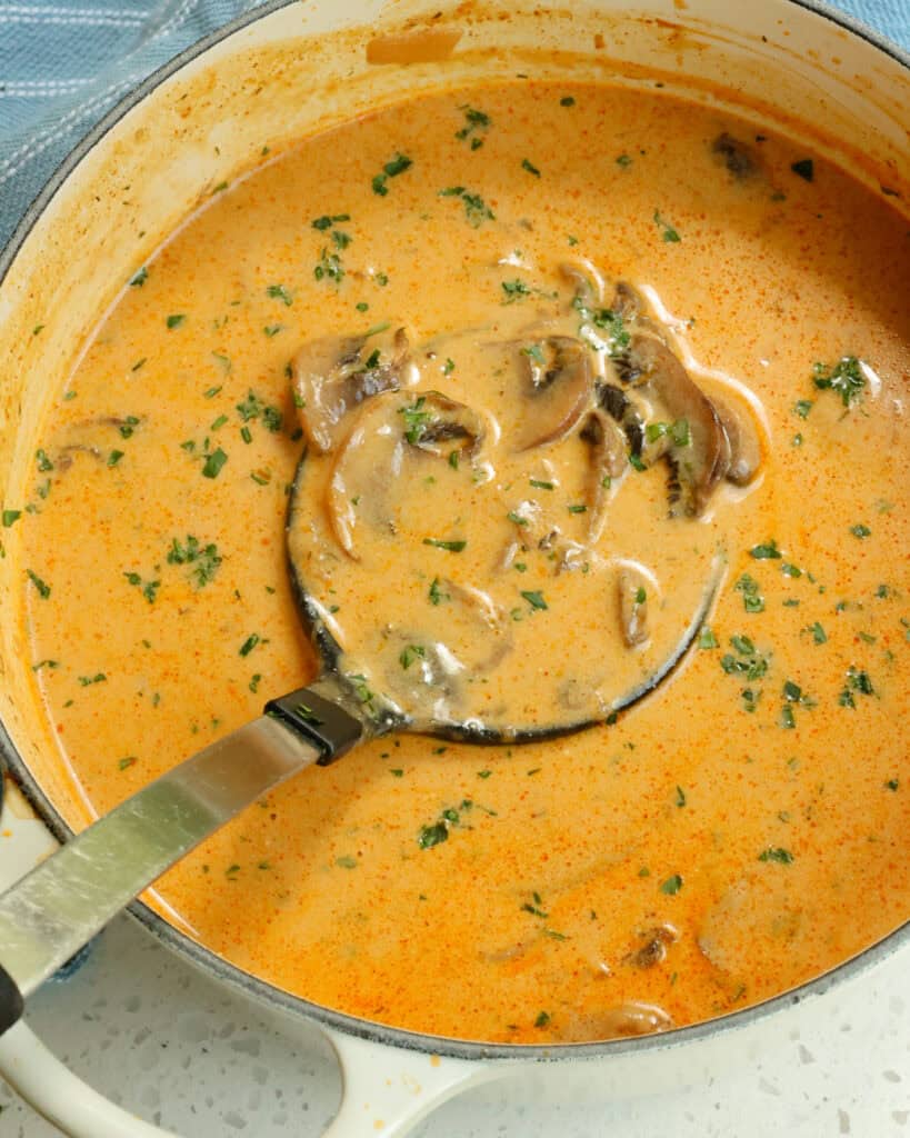 A Dutch oven full of Hungarian mushroom soup.