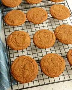 Gingersnap Cookies