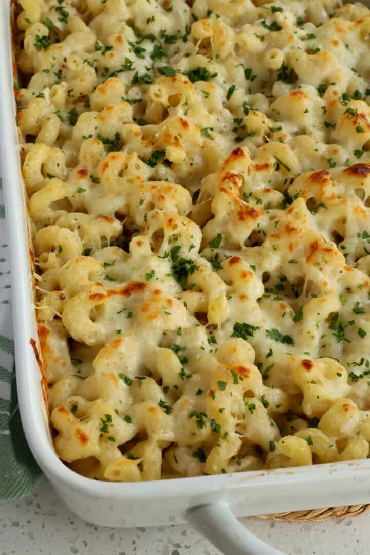 Chicken Alfredo Pasta Bake | Small Town Woman