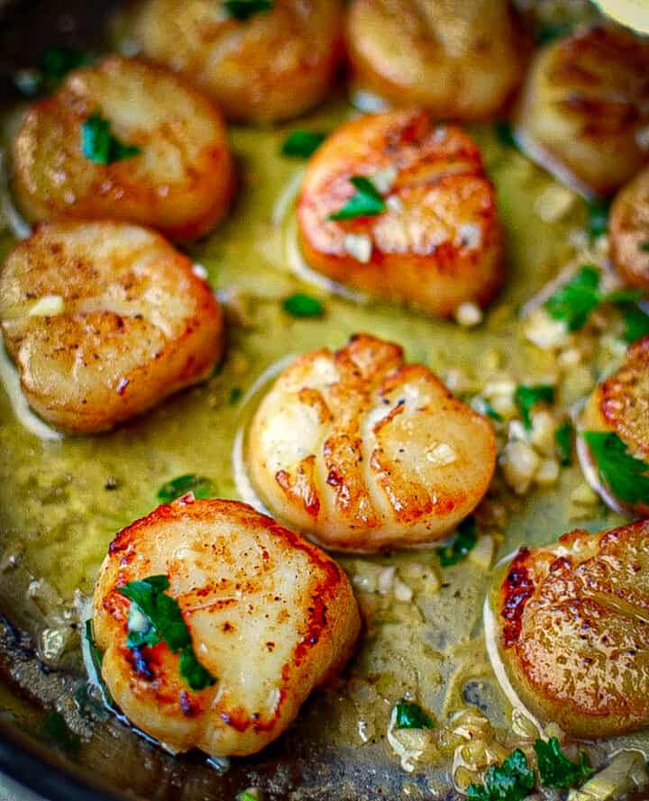 Seared Scallops with Garlic Lemon Butter