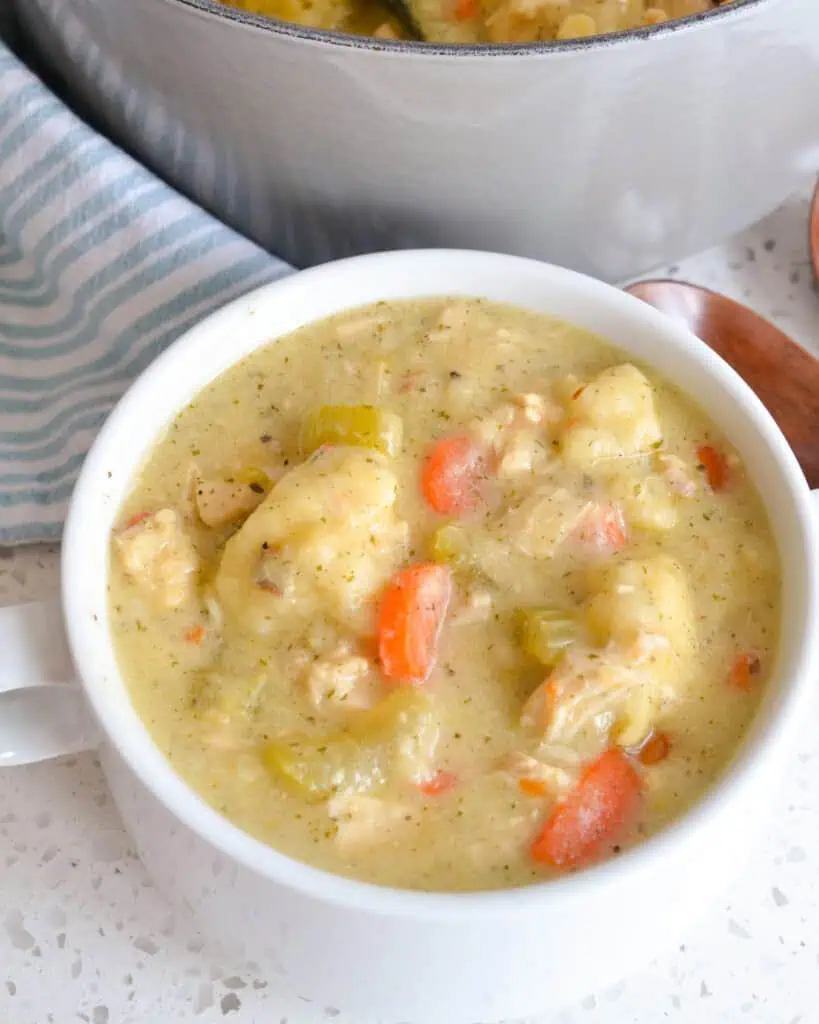 An overhead view of chicken and dumpling soup. 