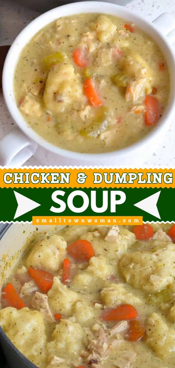 Chicken Dumpling Soup