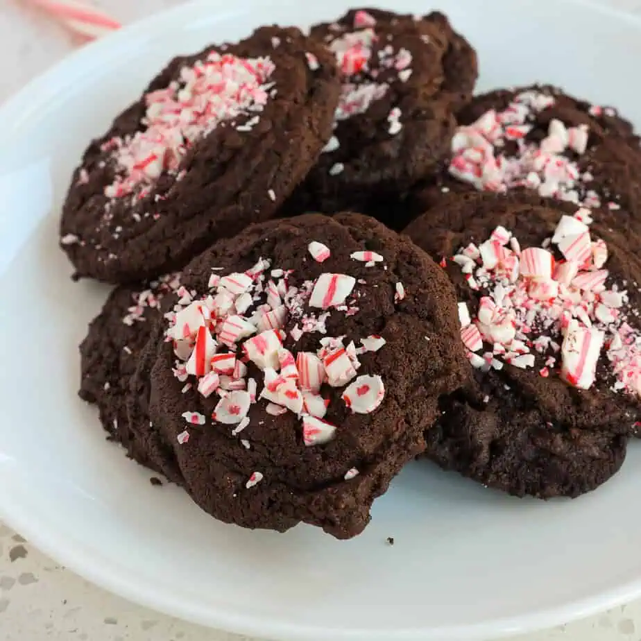 Choocolate Peppermint Cookies