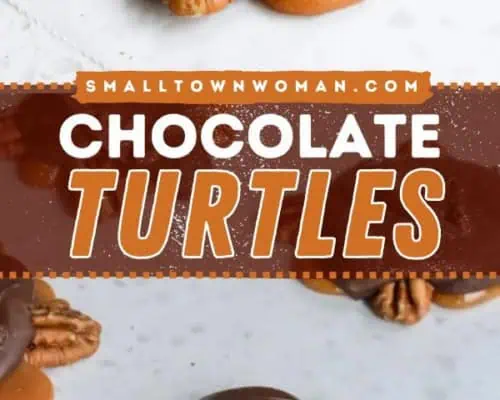 Chocolate Turtles