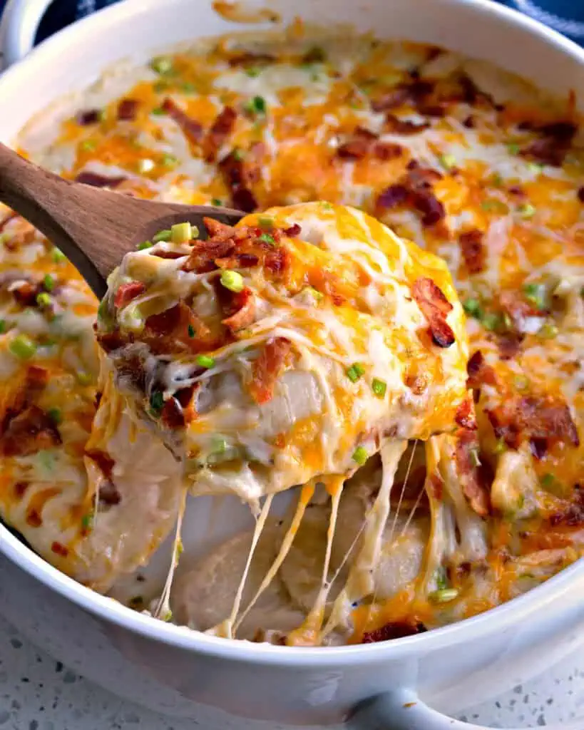 A round casserole dish full of cheesy pierogi casserole with layers of potato filled dumplings, alfredo sauce, green onions, bacon and plenty of shredded mozzarella and cheddar. 