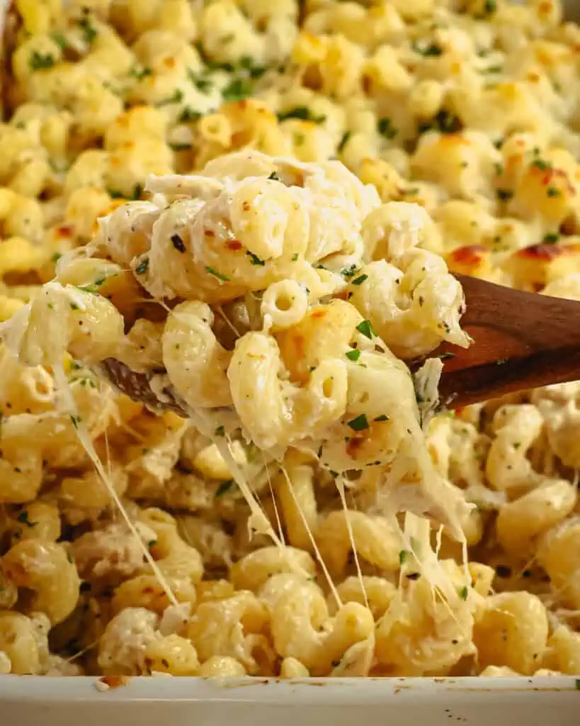 A wooden spoon full of chicken alfredo bake. 