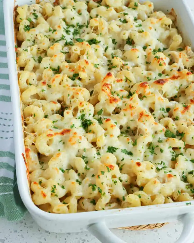 A large casserole dish full of chicken alfredo pasta bake. 