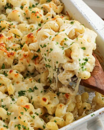 Chicken Alfredo Bake