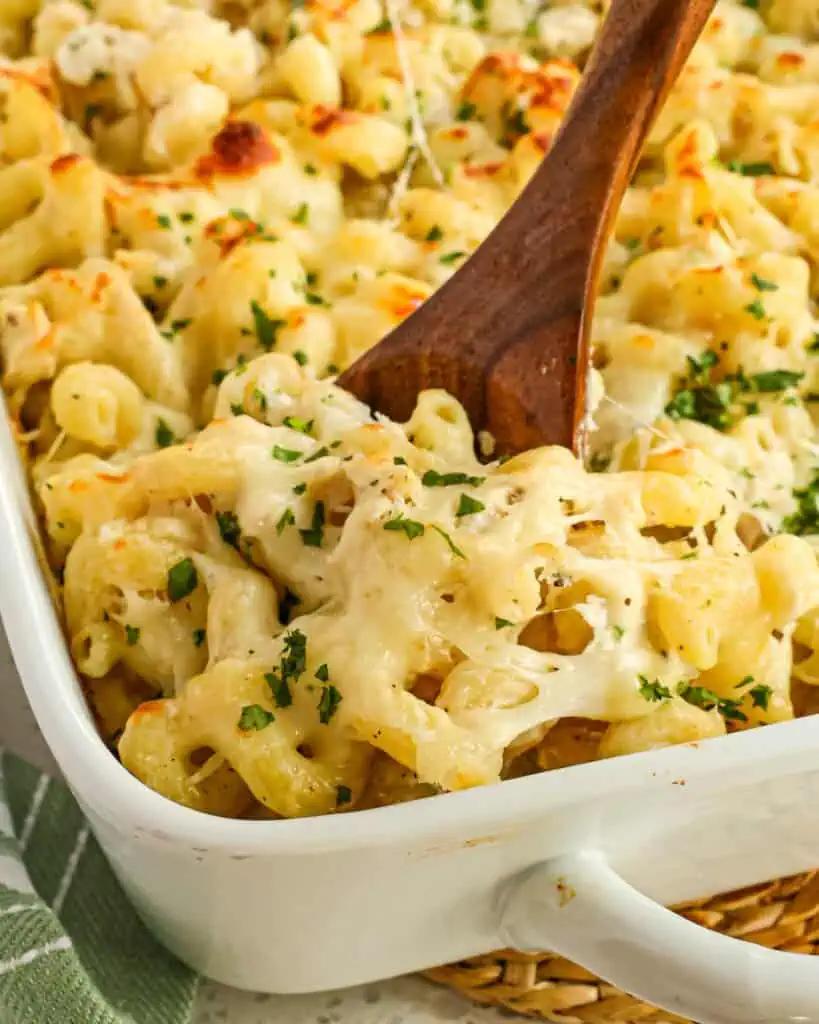 A close up view of chicken alfredo bake. 