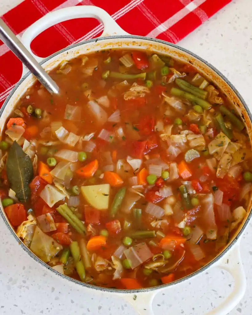 This tasty vegetable soup is the perfect pick-me-up for the winter blahs with the perfect balance of herbs, spices, and veggies. 