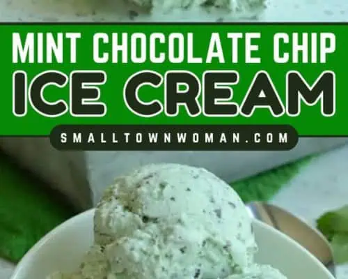 Mint Chocolate Chip Ice Cream