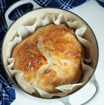 No Knead Bread