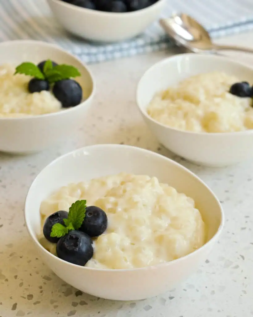 Three bowl of creamy tapioca pudding with blueberries. 