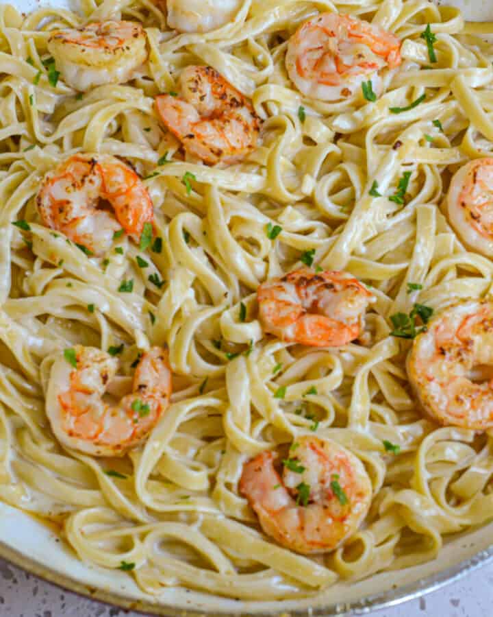 Shrimp Alfredo